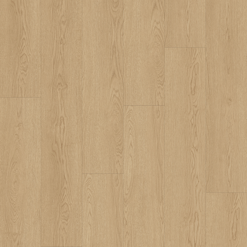 NM2001 리파드.jpg