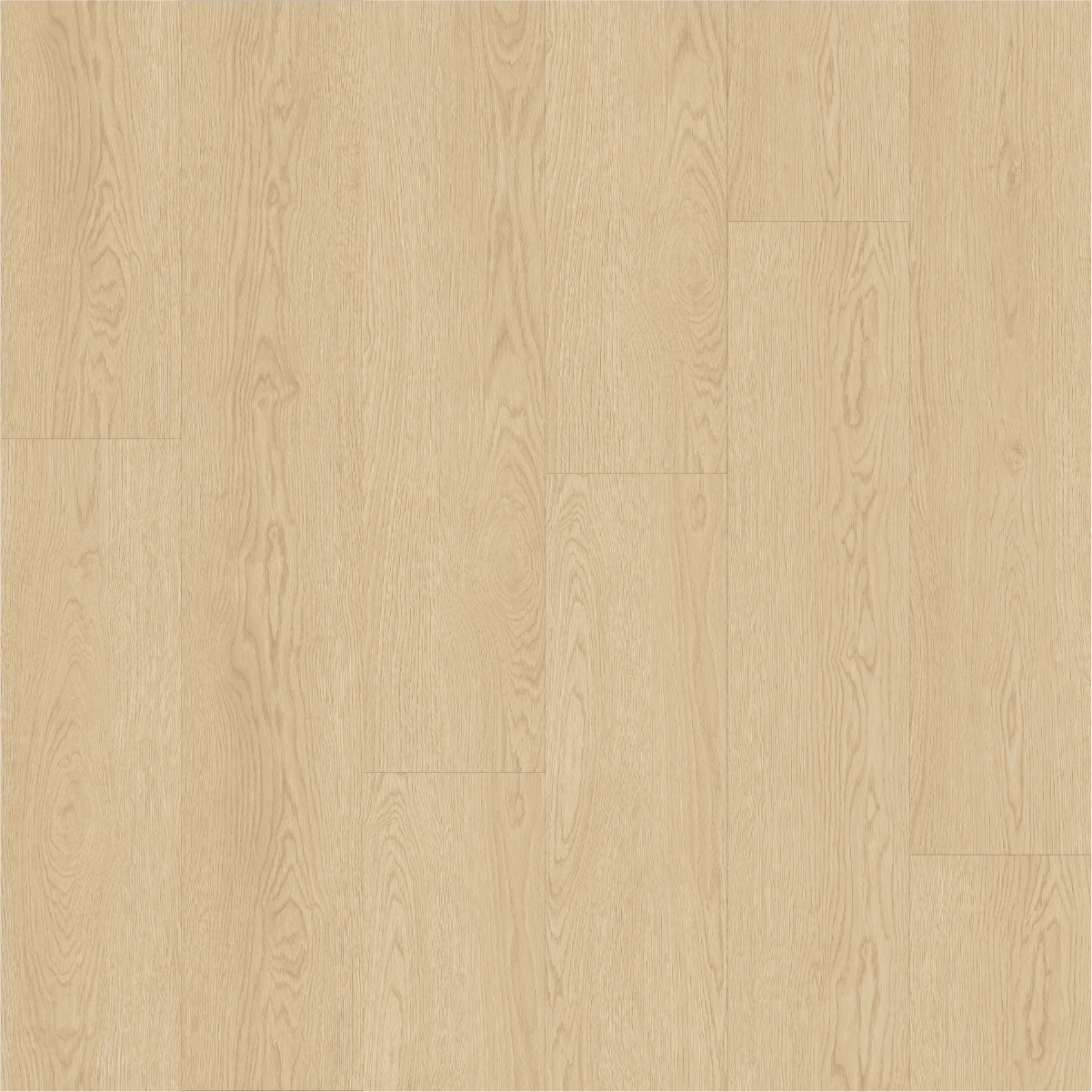 NM2002 퍼미스.png