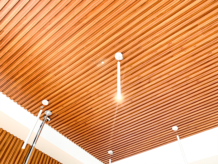 경기도 파주시 '라피아노1단지' 합성목재 루바월 4.jpg